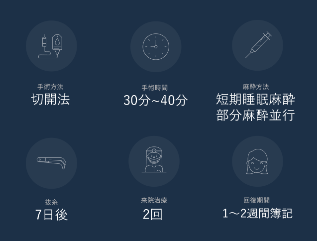 目-切開法